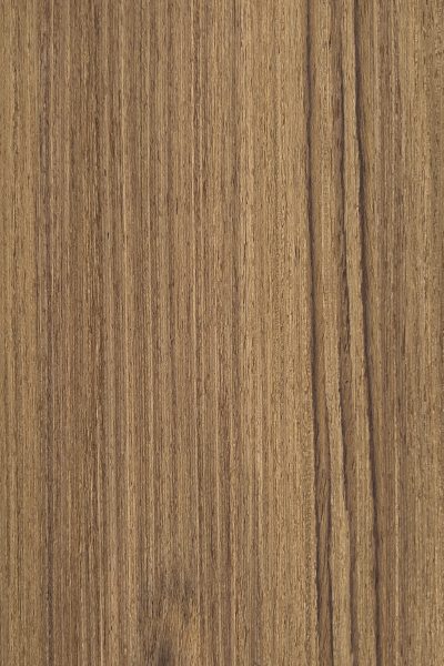 Teak Florida